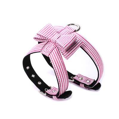 ปลอกคอสุนัขและสายจูงลายทางปรับระดับได้อย่างปลอดภัยสำหรับ Dog Walk
